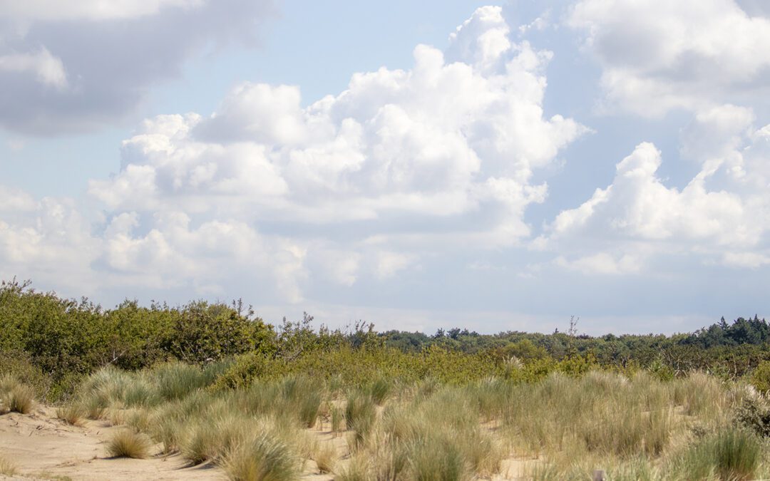 Voornes Duin