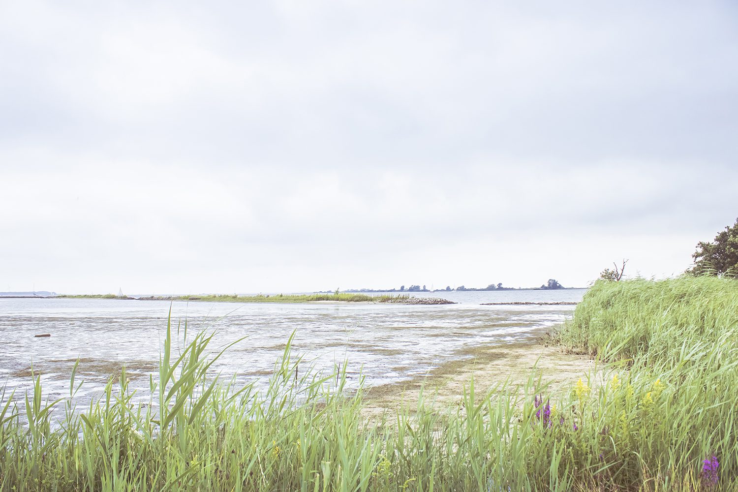 Tiengemeten Tiengemeten