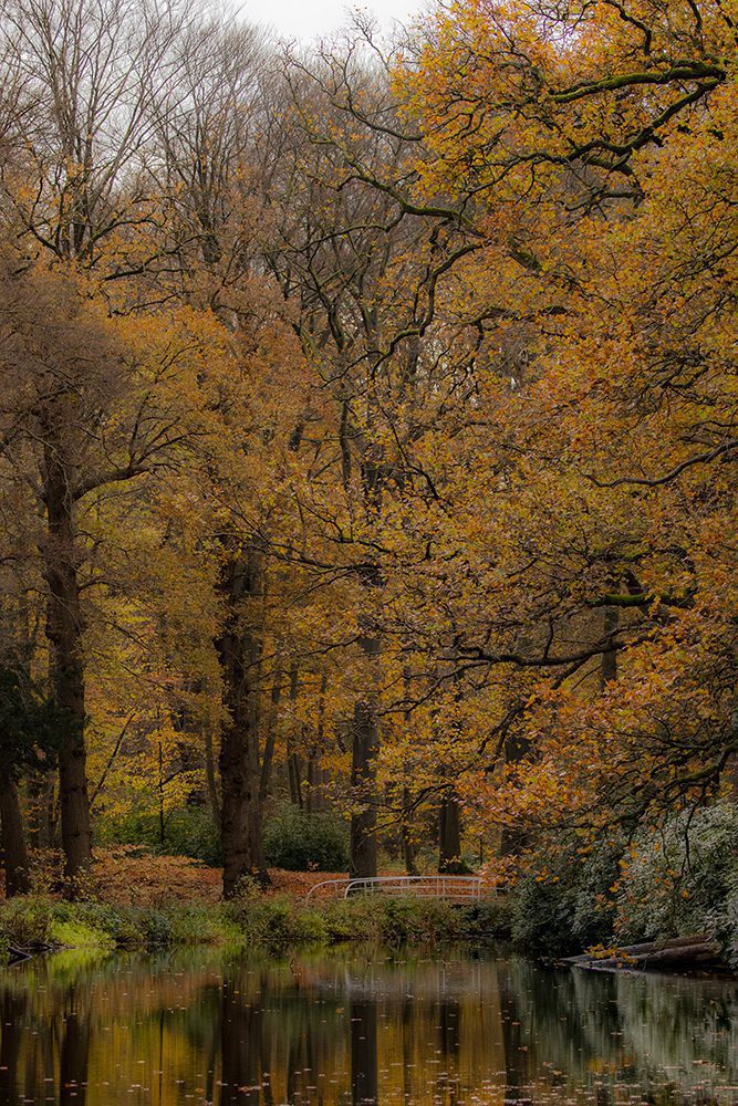 _MG_5718 's-Gravelandse Buitenplaatsen