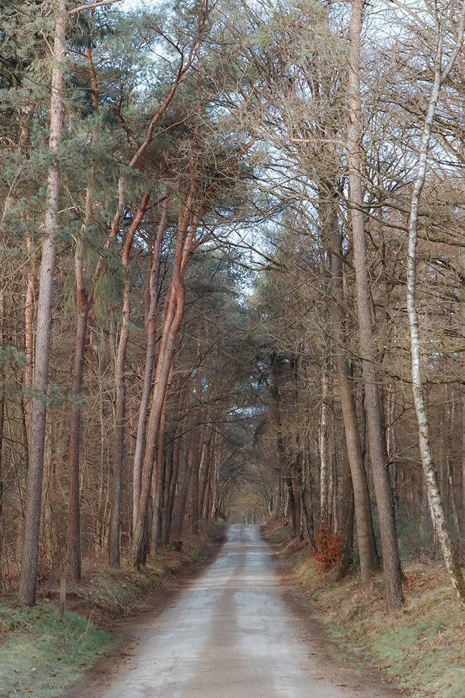 Wandelen op de Holterberg Wandelen op de Holterberg