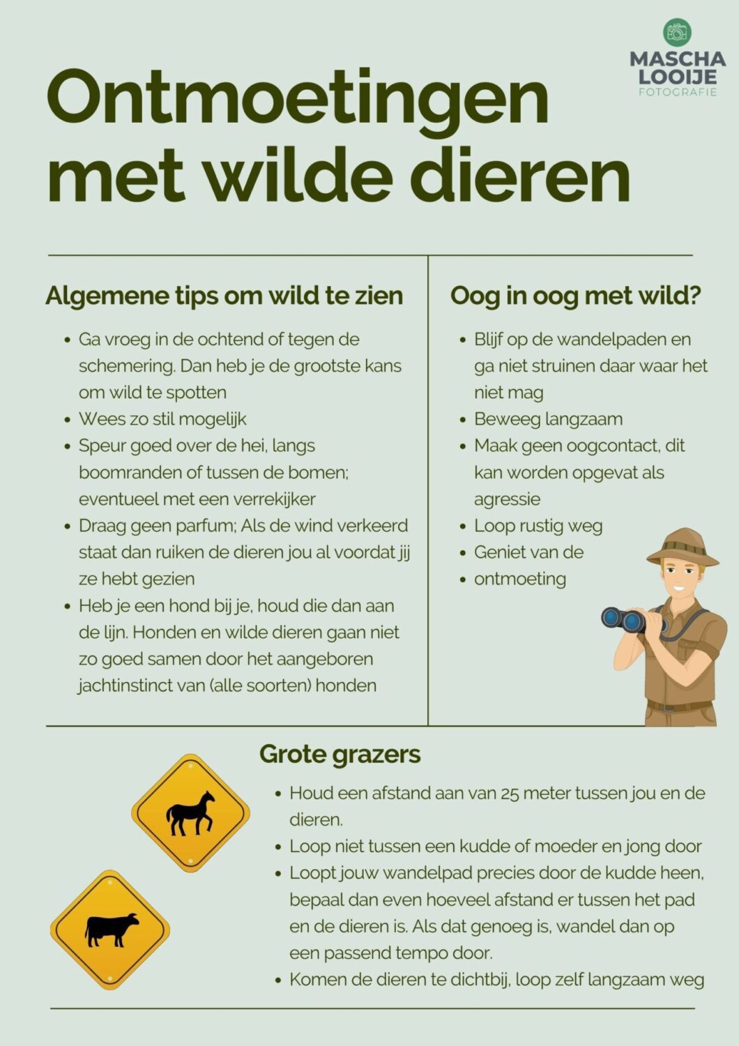 wandeltips wandeltips