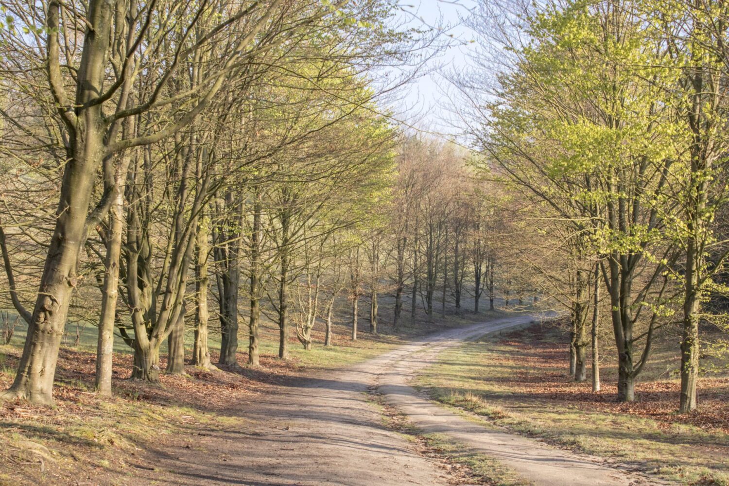 Wandelen over Landgoed De Paltz Wandelen over Landgoed De Paltz