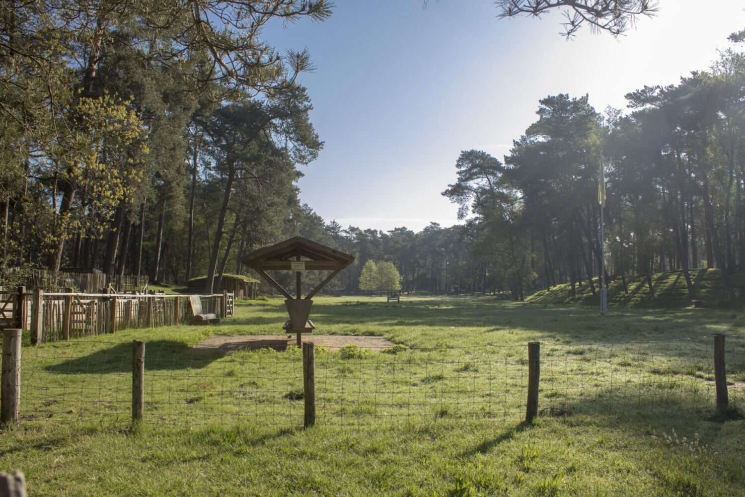Wandeling op heidestein Wandeling op heidestein