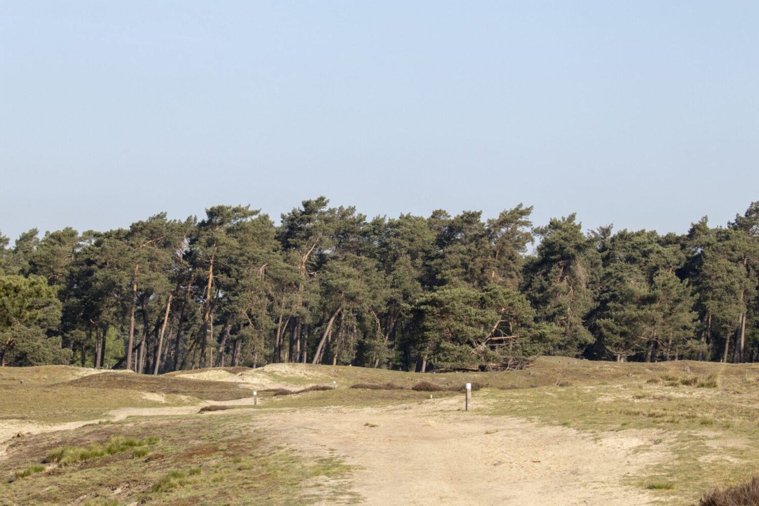 Wandeling op heidestein Wandeling op heidestein