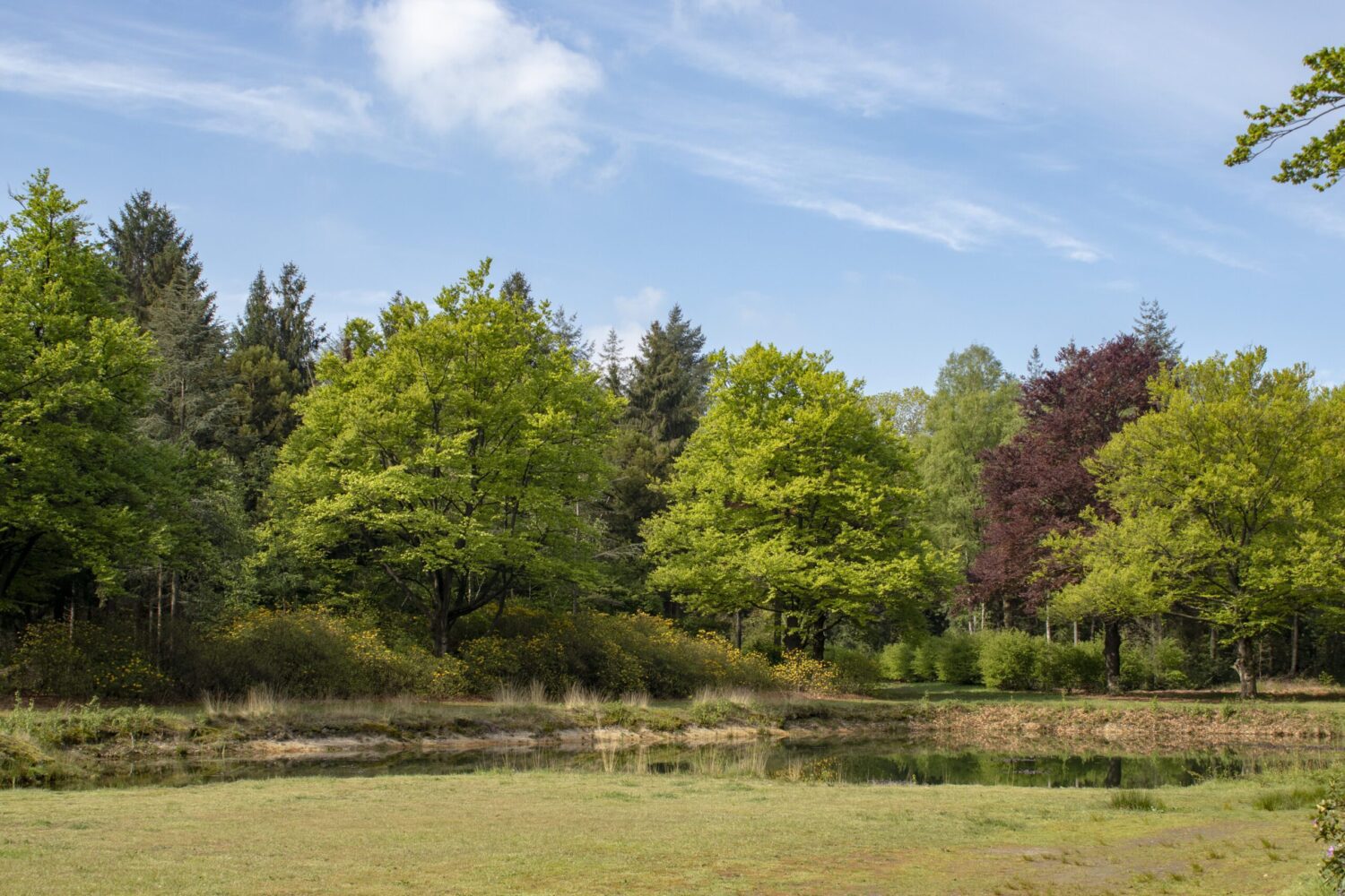 Wandelen Landgoed De Utrecht Wandelen Landgoed De Utrecht