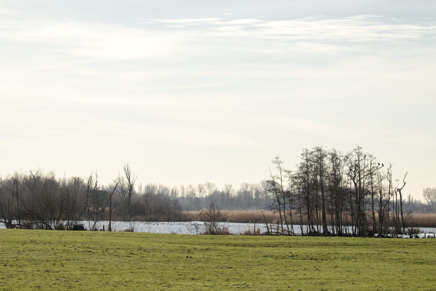 Ackerdijkse plassen Ackerdijkse plassen
