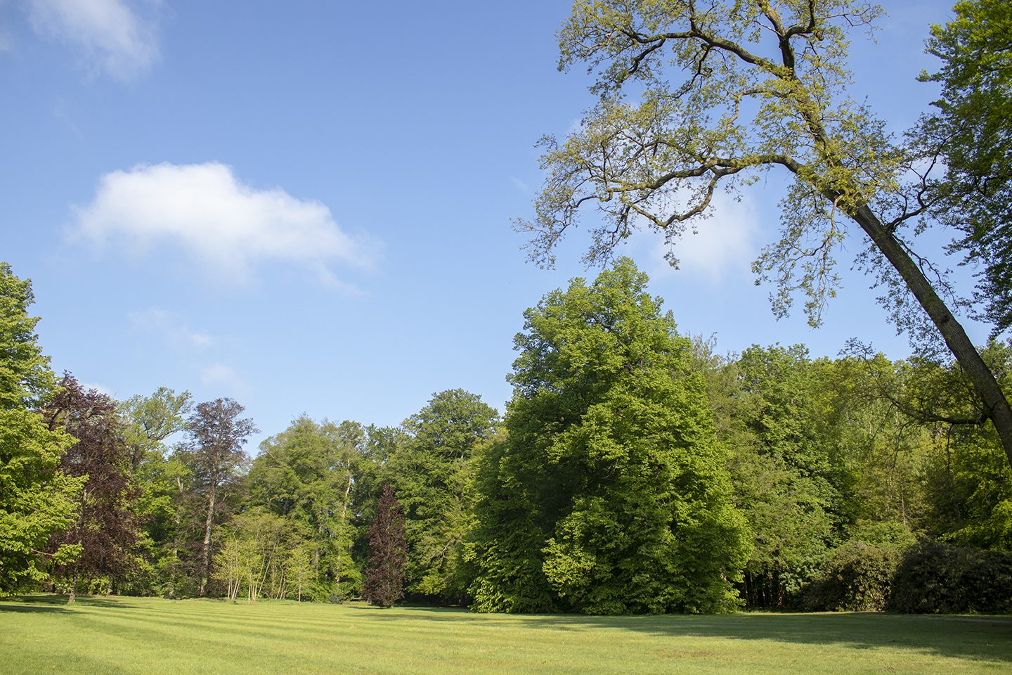 wandelen in paleispark het loo wandelen in paleispark het loo