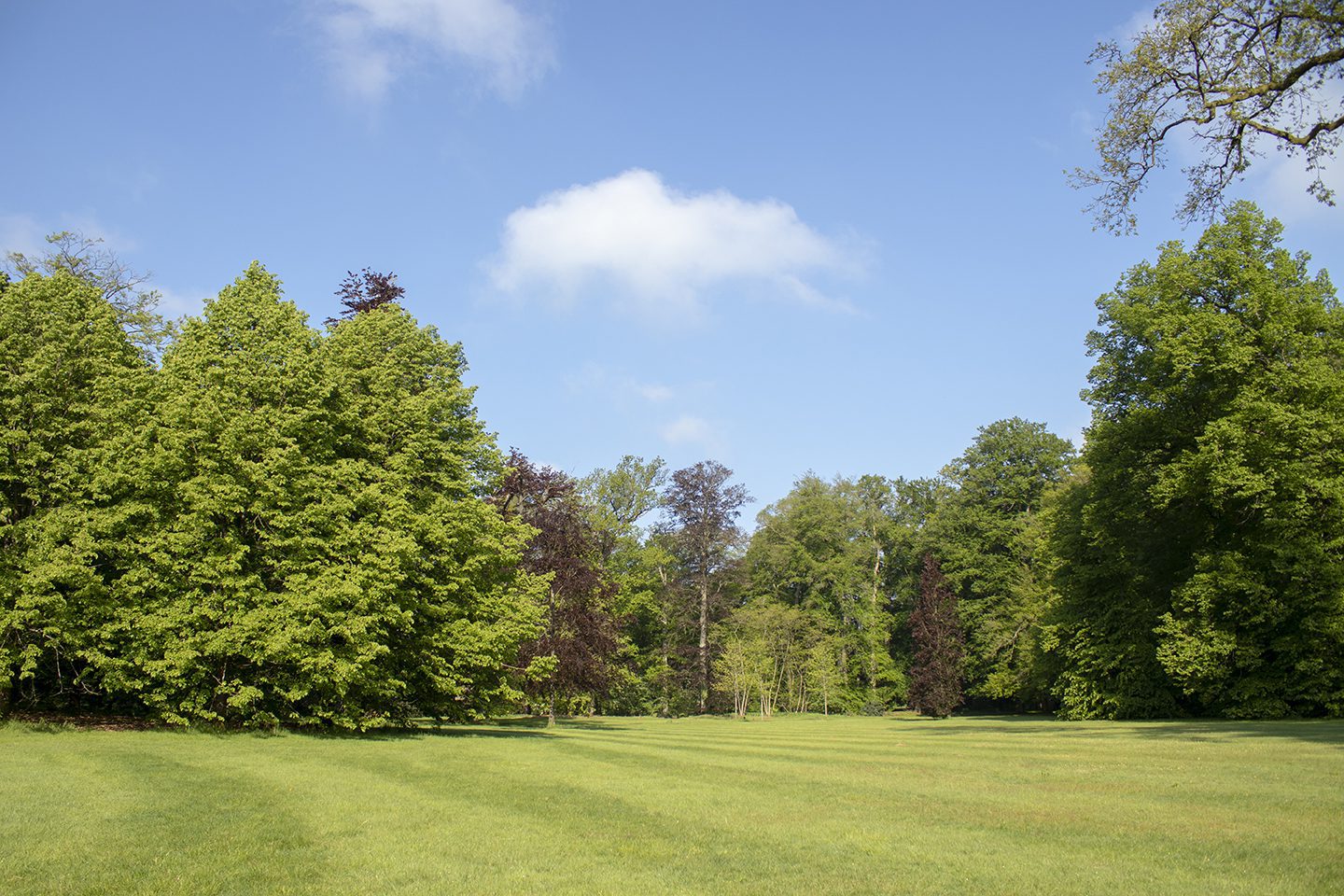 wandelen in paleispark het loo wandelen in paleispark het loo