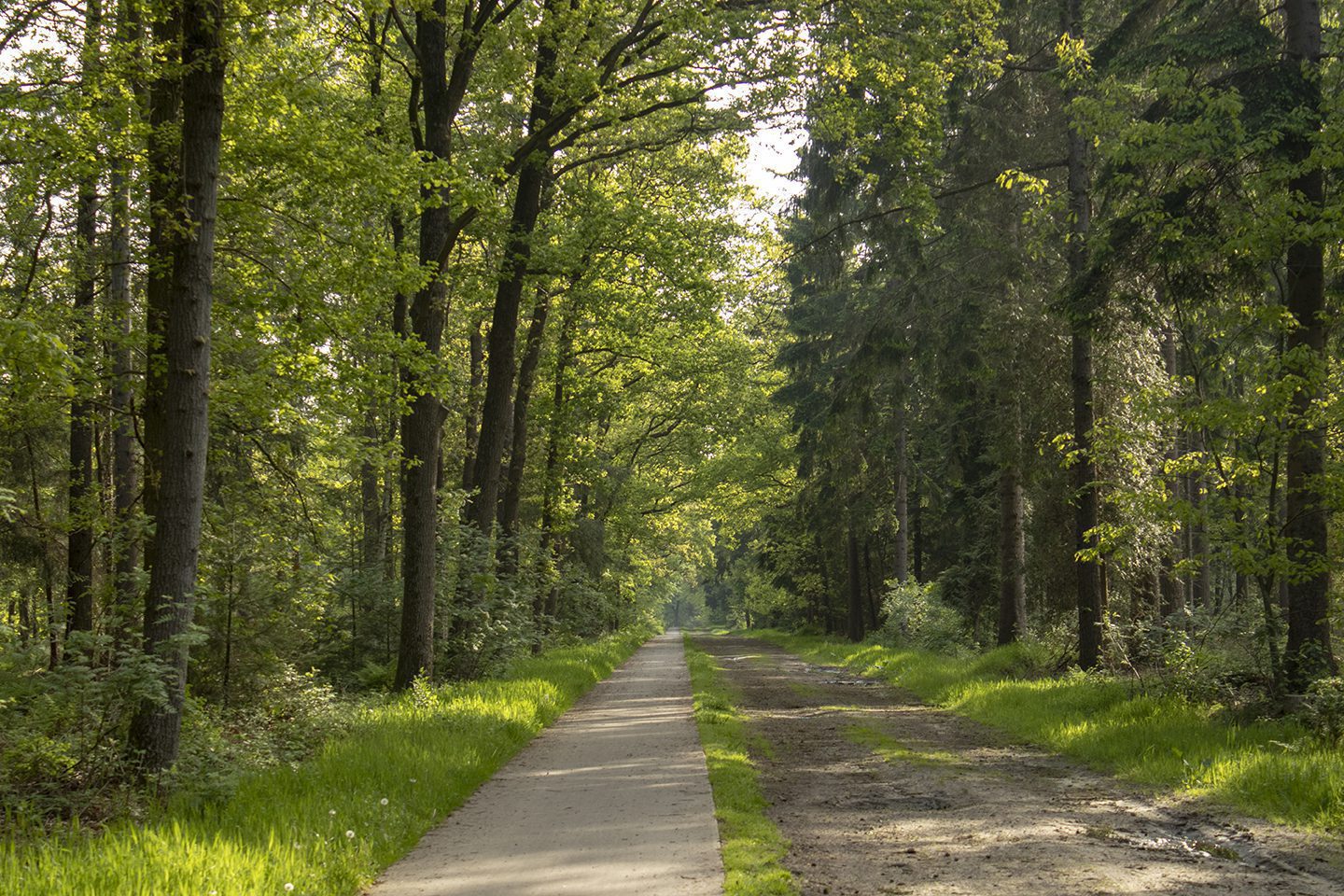 wandelroute hunebedden wandelroute hunebedden