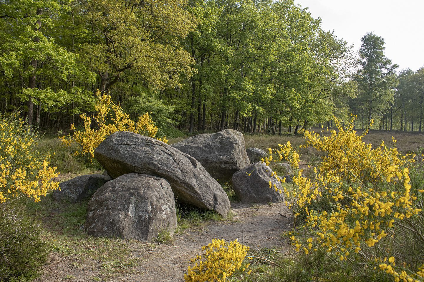 wandelroute hunebedden wandelroute hunebedden