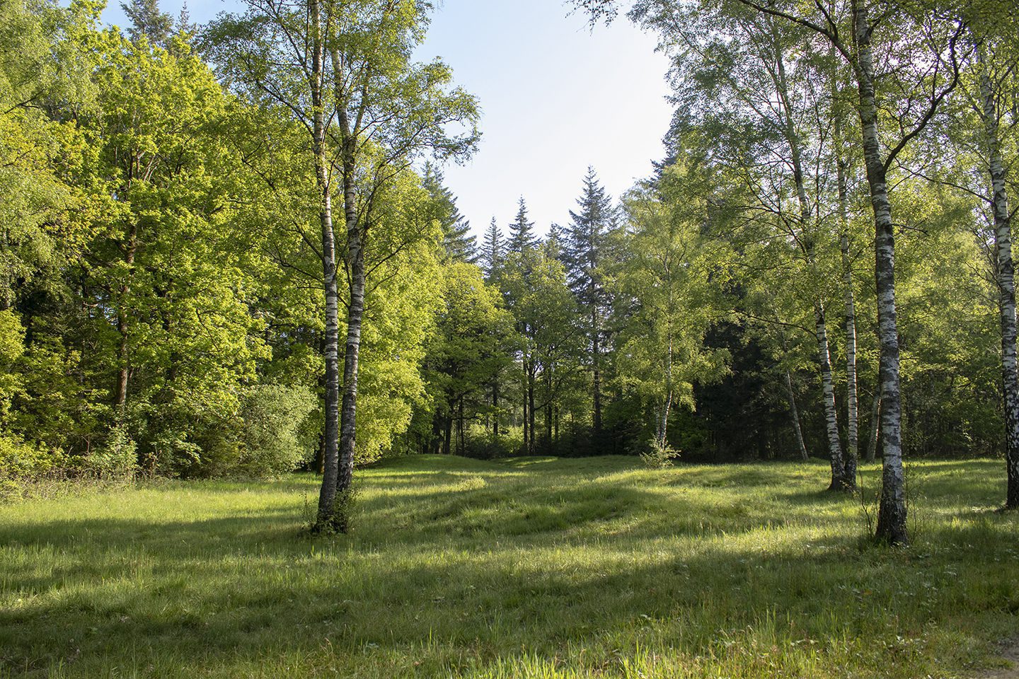 wandelroute hunebedden wandelroute hunebedden