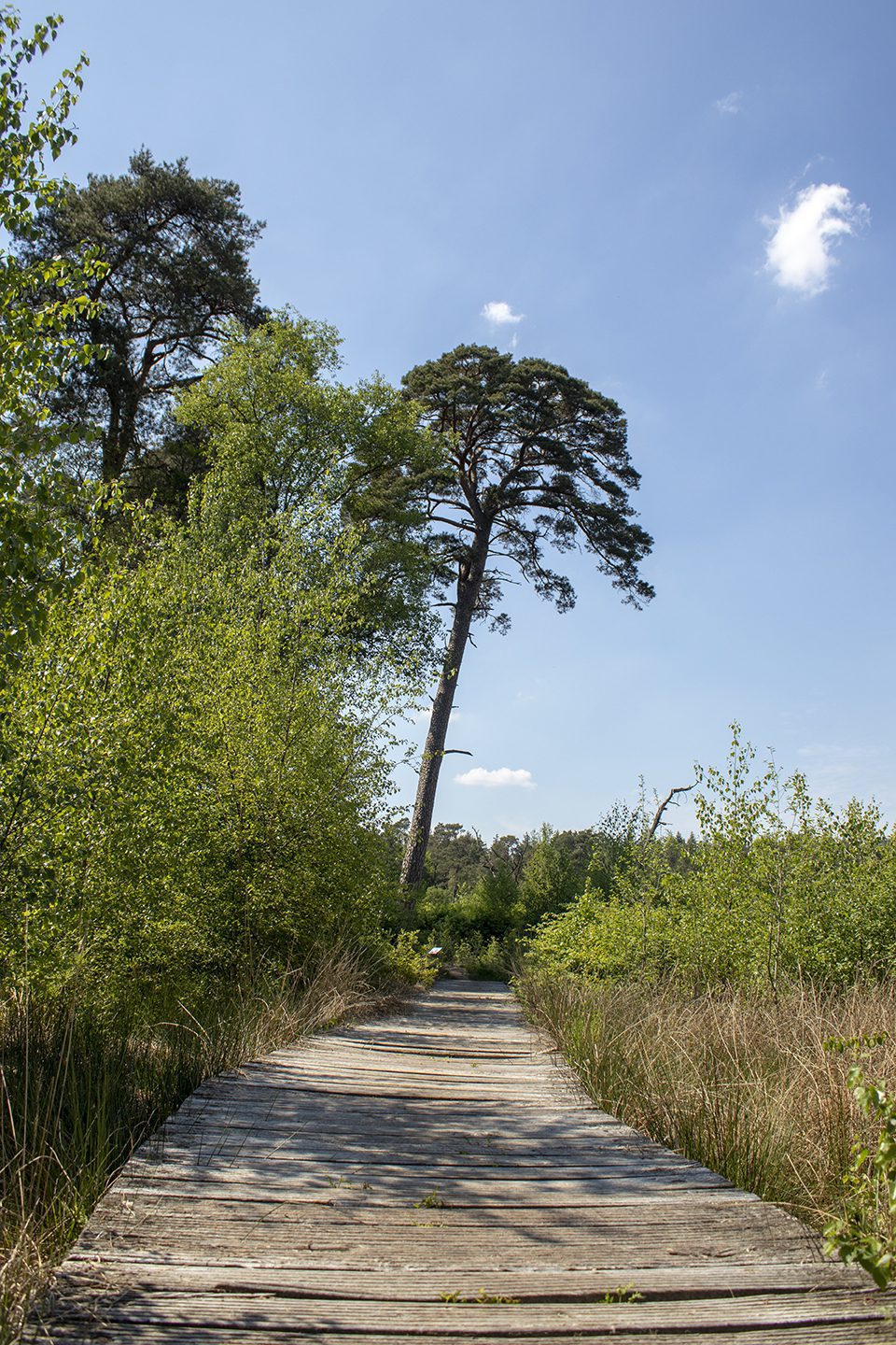 wandeling besthmenerberg wandeling besthmenerberg