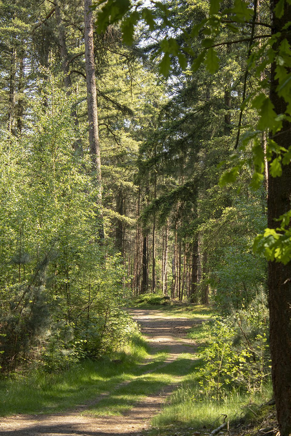 wandeling besthmenerberg wandeling besthmenerberg