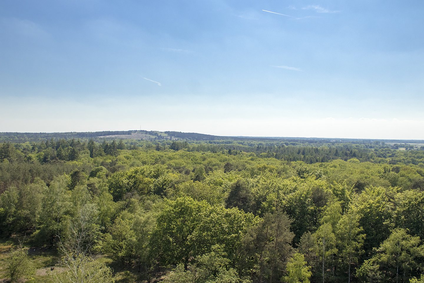 wandeling besthmenerberg wandeling besthmenerberg
