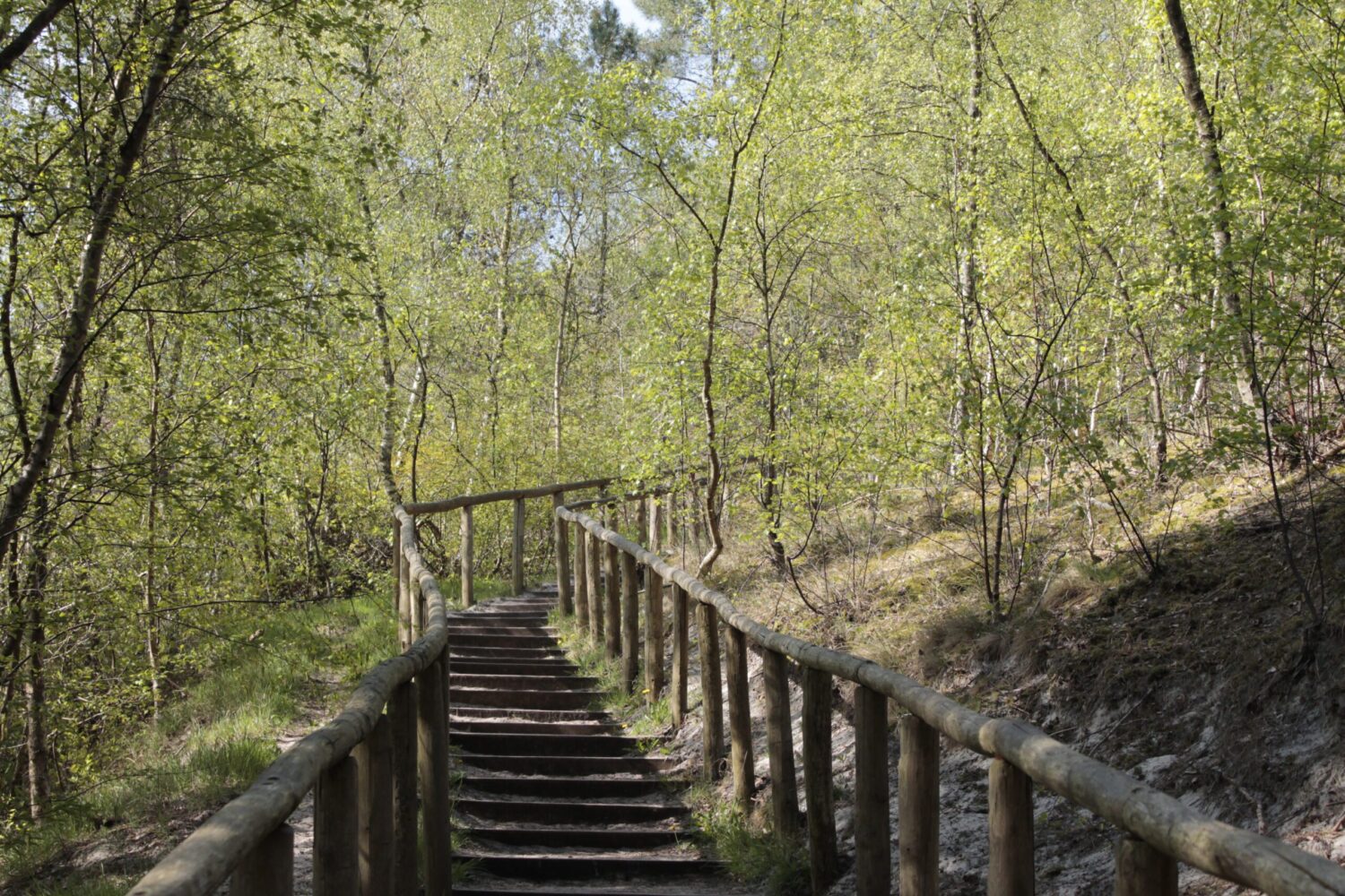 Wandelen in Schoorl Wandelen in Schoorl