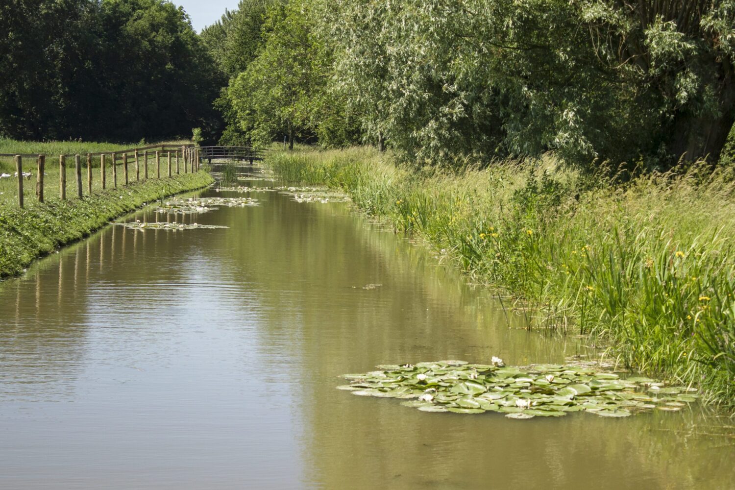 Polderpark Cronesteyn