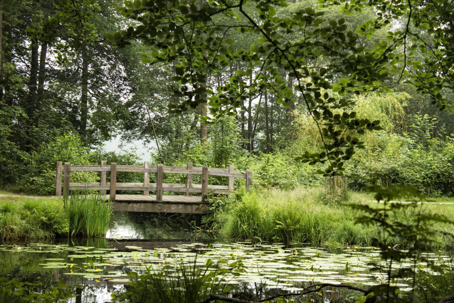 landgoed Groeneveld Baarn