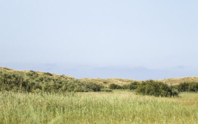 Zwanenwater Callantsoog: duinvalleien en vogelhutten