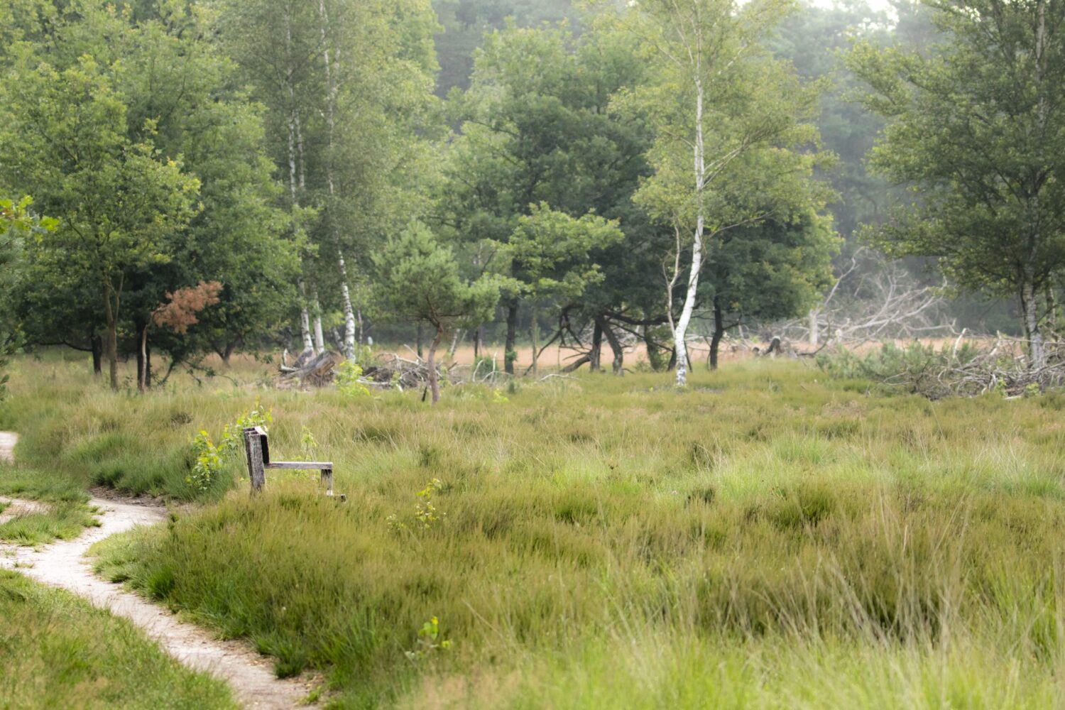 mooiste wandelroutes veluwe