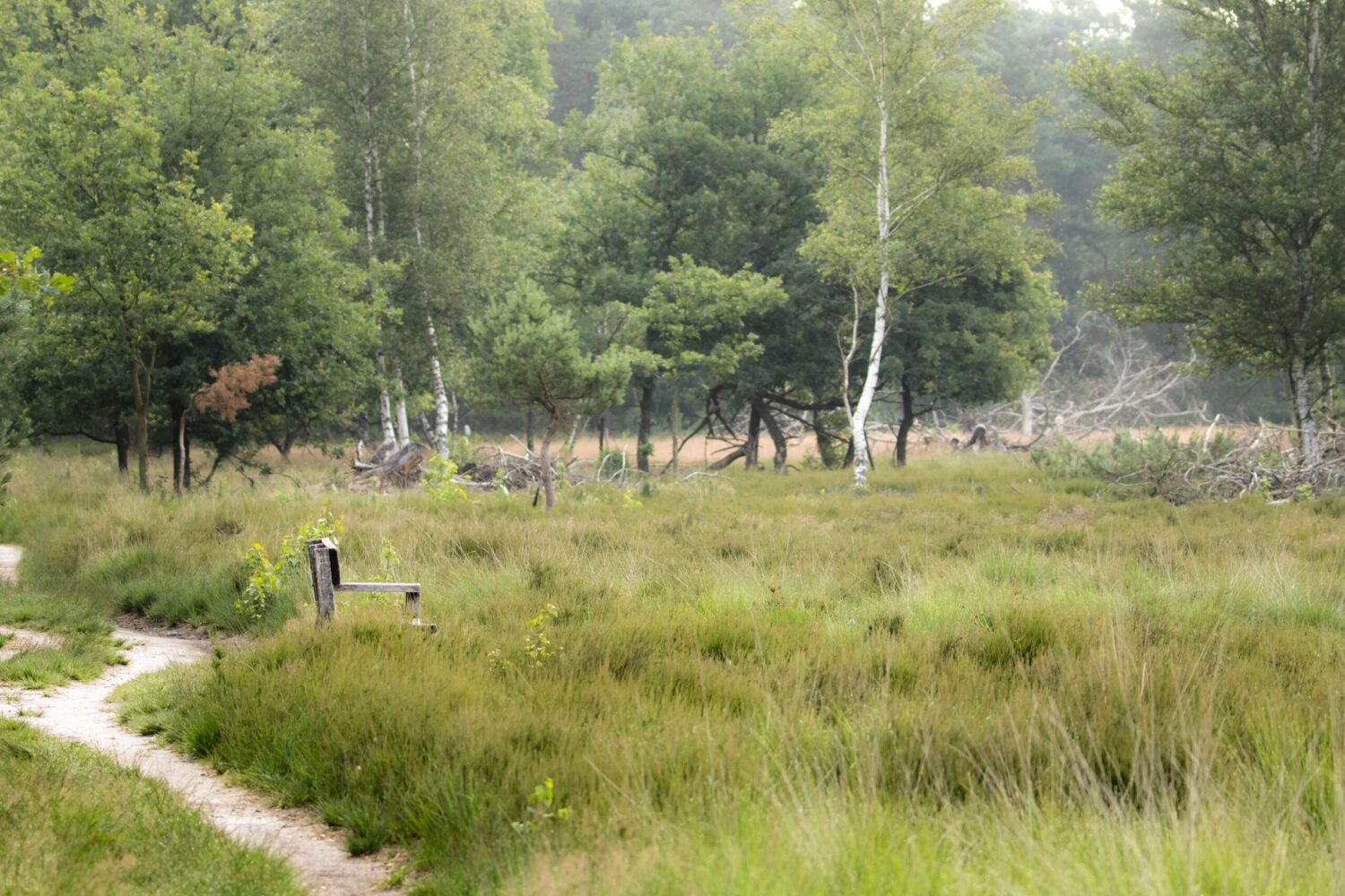 mooiste wandelroutes veluwe