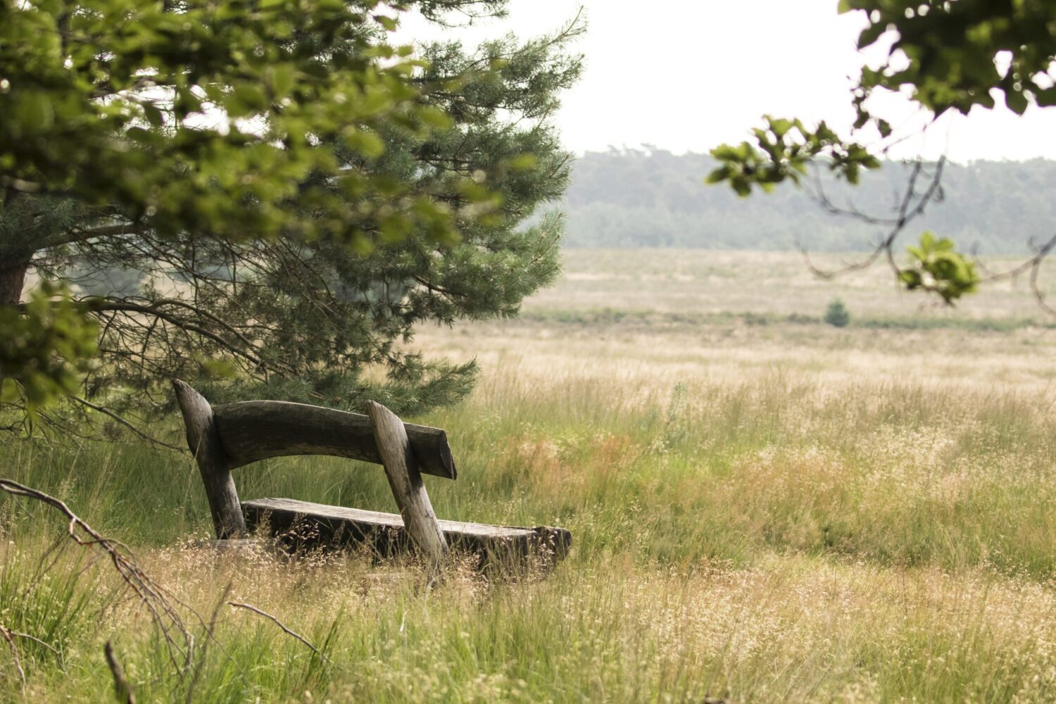 De Veluwe