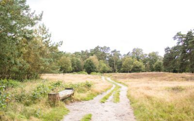 Het Witte Veen; op de grens met Duitsland
