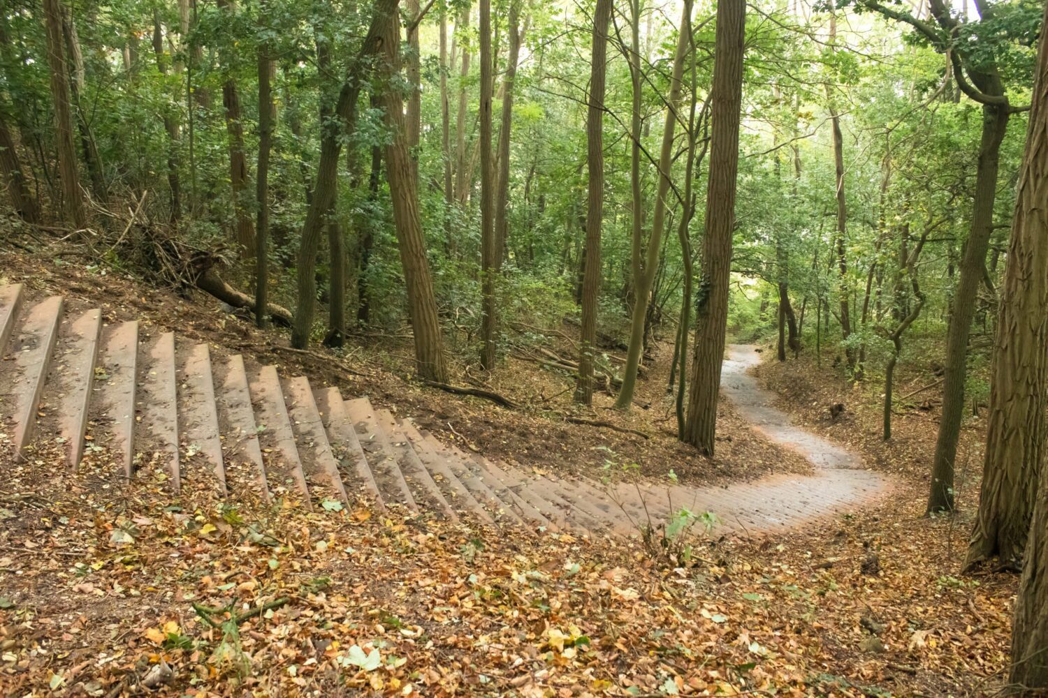 wandelen grebbeberg