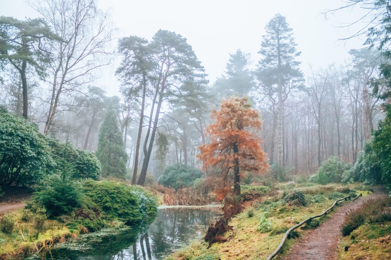 wandelroute driebergen