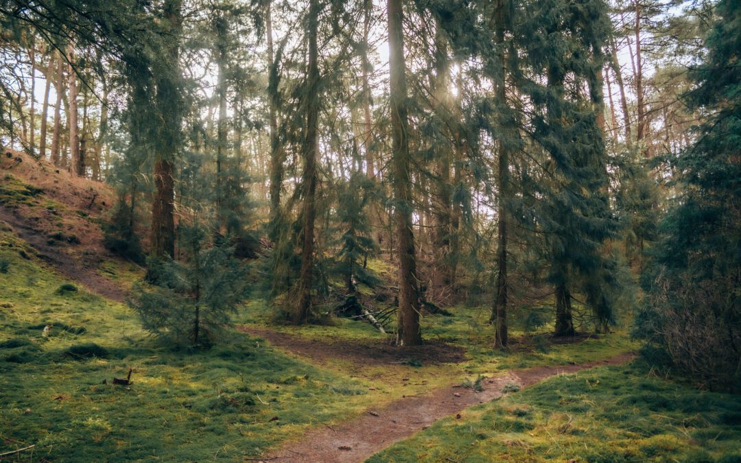 wandelen bornia