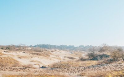 Wandelen in Meijendel; door bos en duin