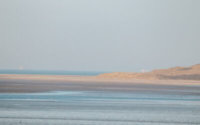 Wandelroute Oostvoorne: duinen, bossen en strand