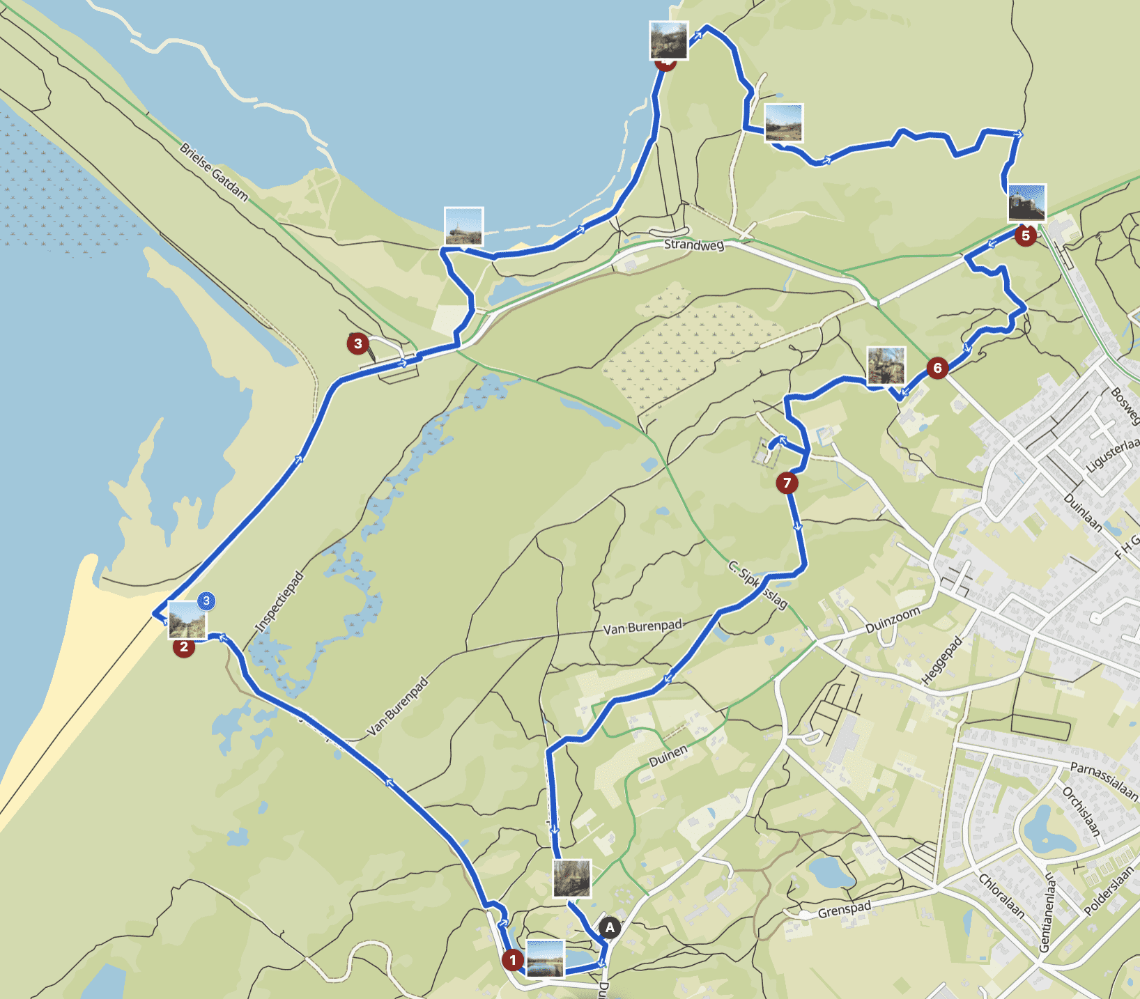 Wandelroute oostvoorne