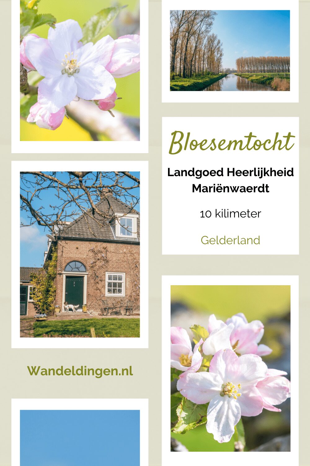 Bloesemtocht