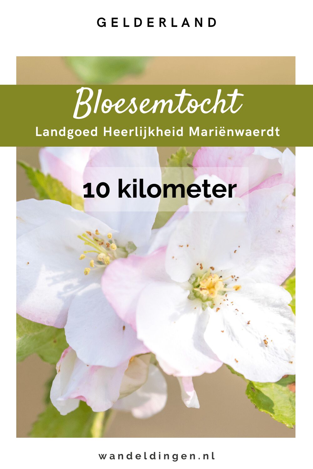 Bloesemtocht