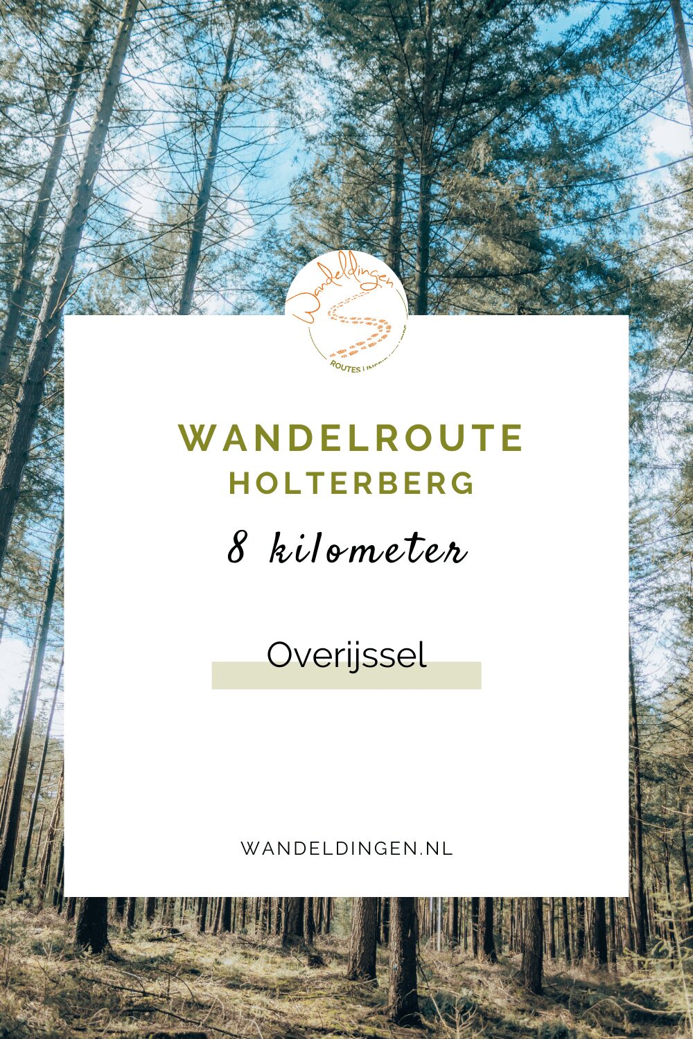 Wandelroute Holterberg