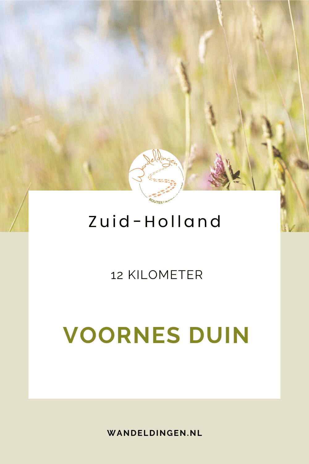 voornes duin