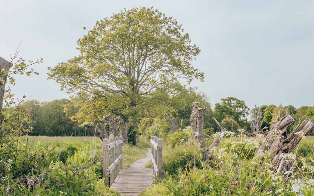 Trage Tocht Wassenaar