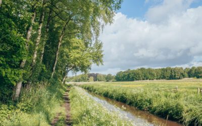 Wandelen langs de Regge, Eerde en de Steile Oever