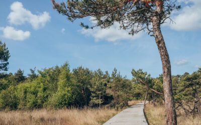 De Umfassungsweg van Landgoed Twickel