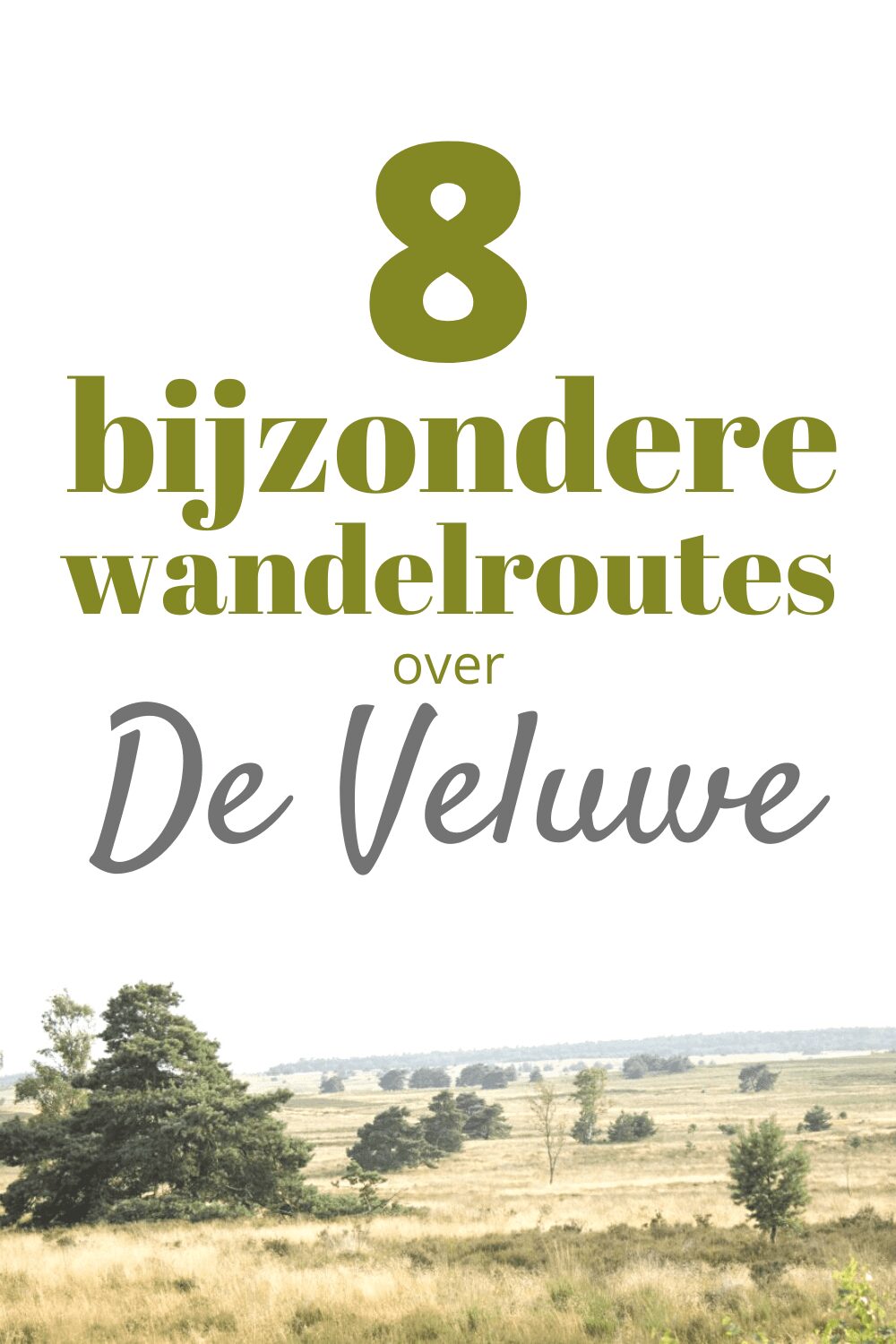 mooiste wandelroutes veluwe