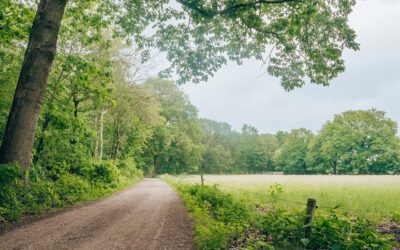 De Reestdal route van Wandelnetwerk Vechtdal
