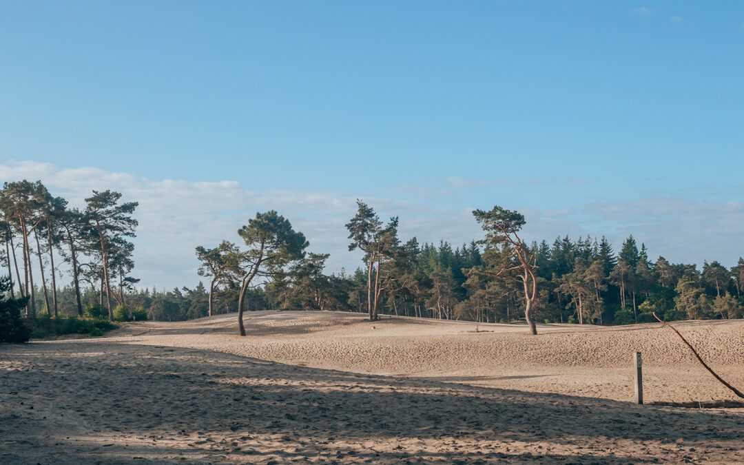 wandelen sahara ommen