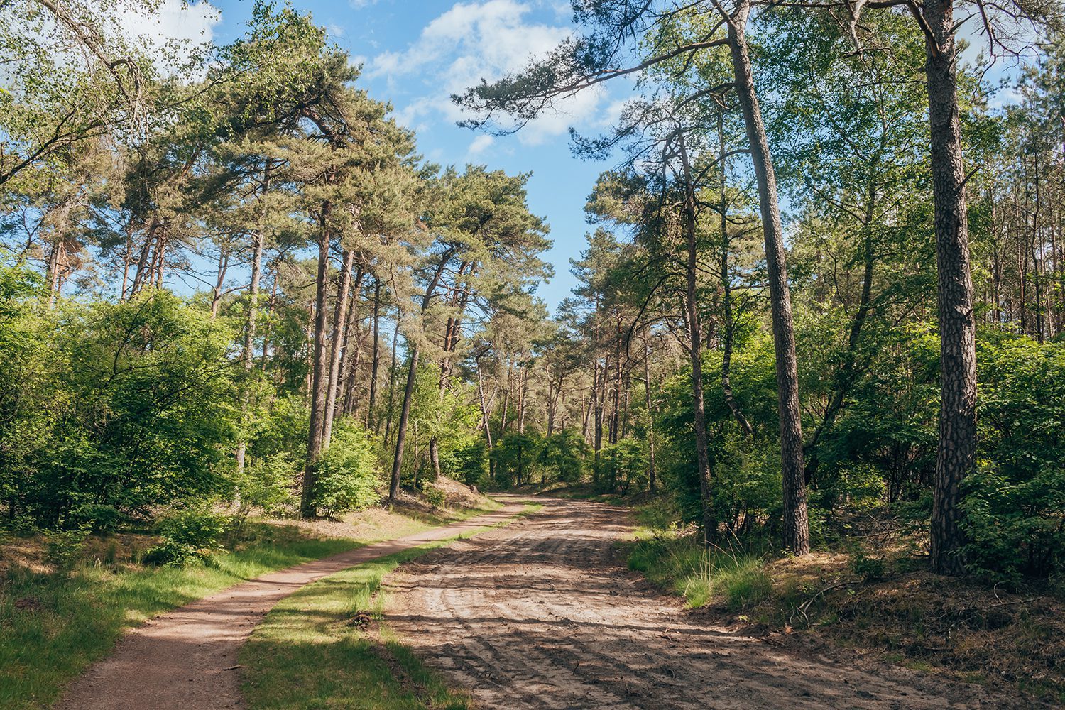 wandelen sahara ommen