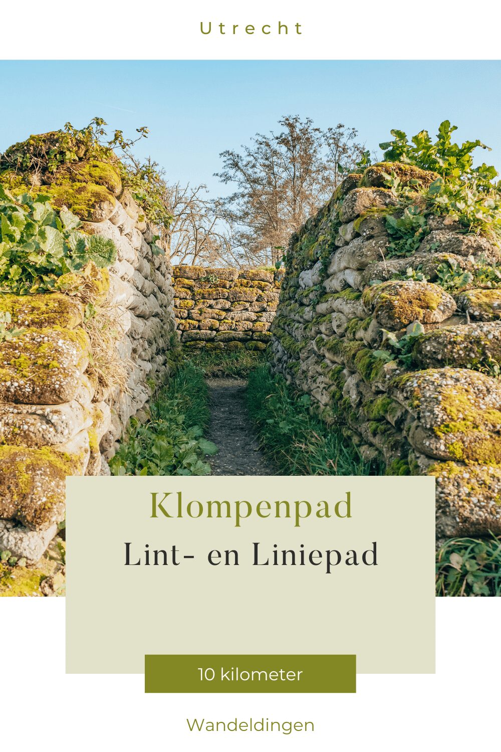 lint- en liniepad