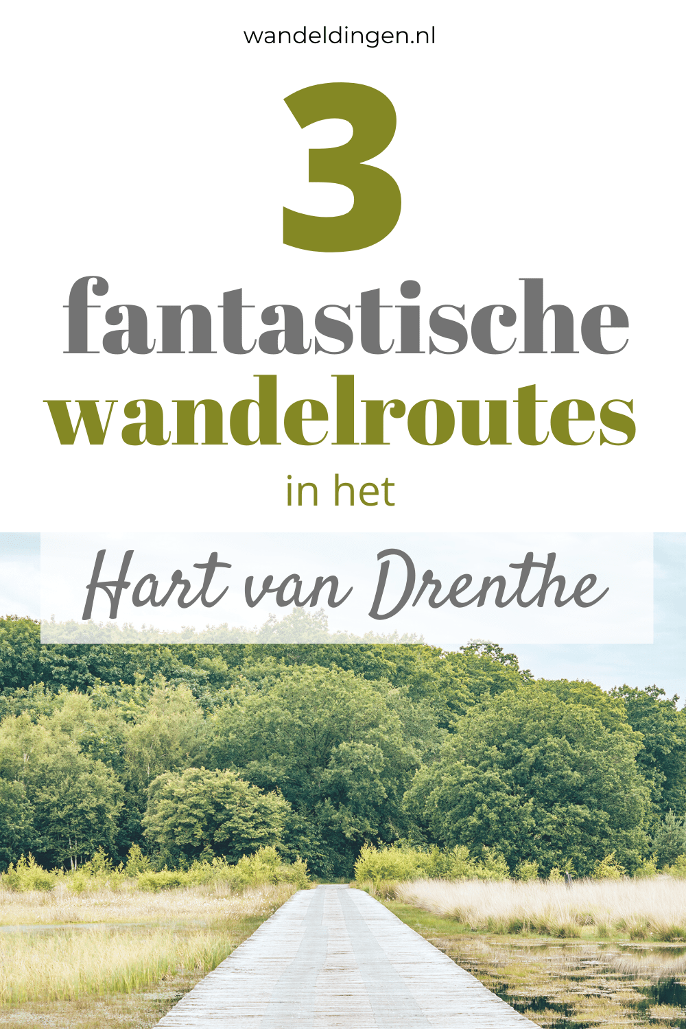 Hart van Drenthe