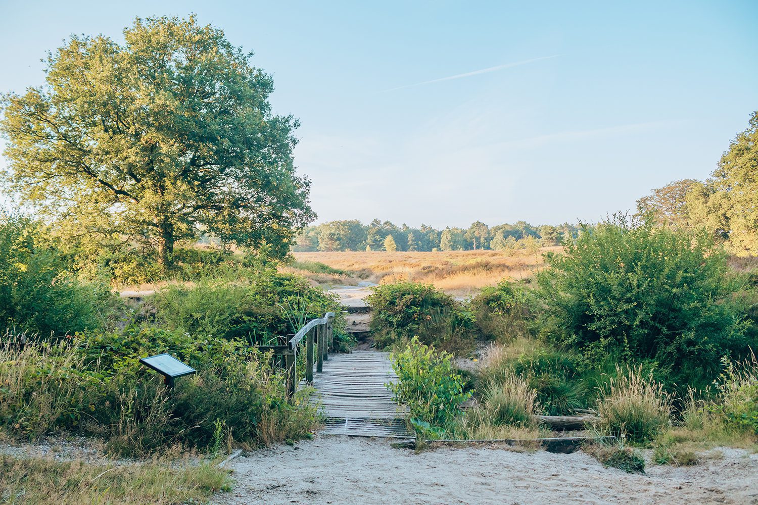 Wandeling Wolfheze