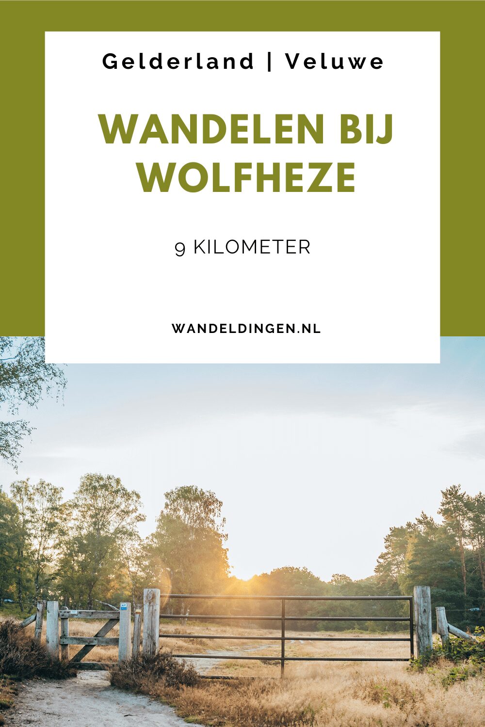 Wandeling Wolfheze