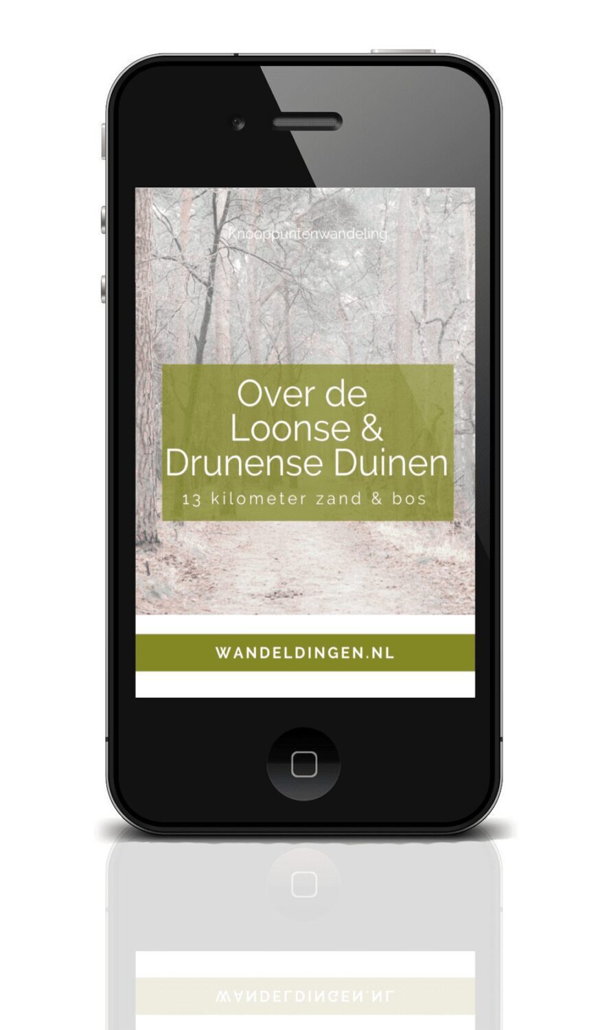 wandelen-loonse-duinen