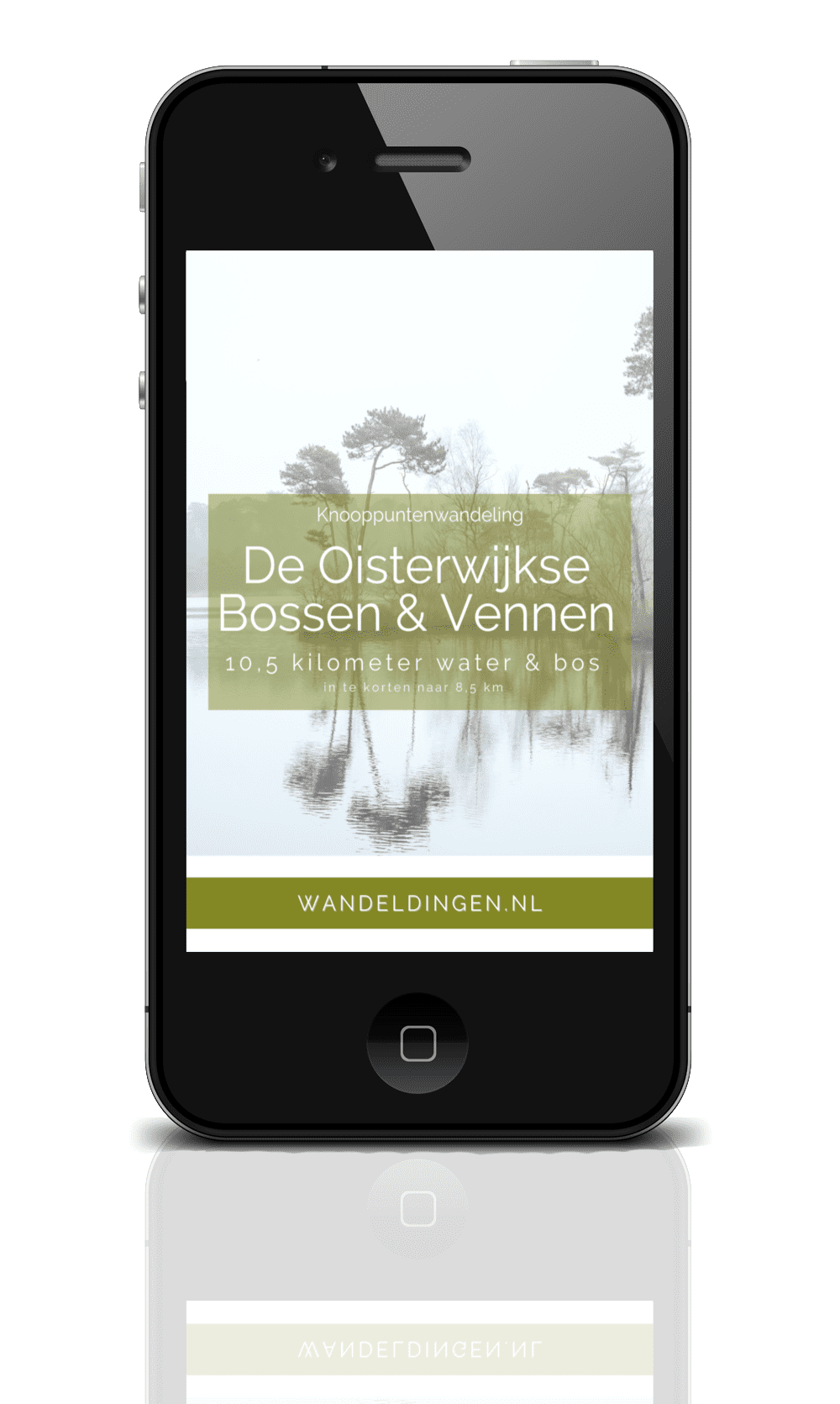 wandelen-oisterwijk