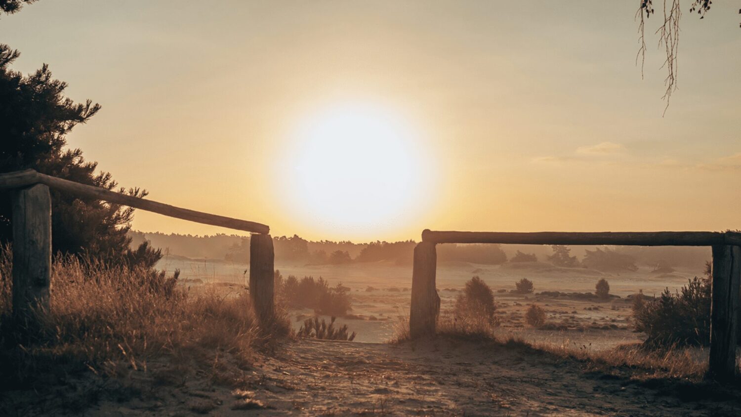 De Veluwe